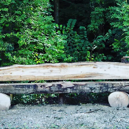 Hotel Txikierdi Alde Auto Check-in