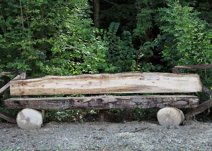 Txikierdi Alde Auto Check-in